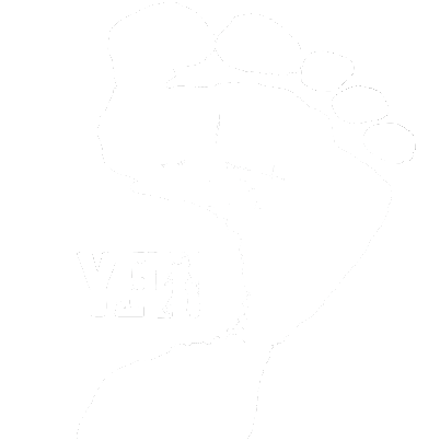 Yo Vi al Yeti SL